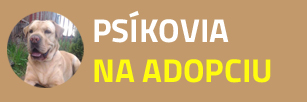 Psíci na adopciu