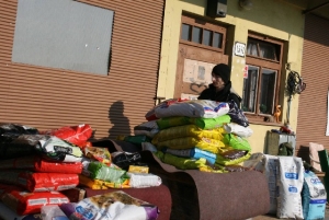 brigada