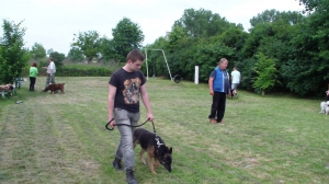 Výcvik útulkových psíkov - každú sobotu o 18:00 hod