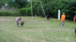 Výcvik útulkových psíkov - každú sobotu o 18:00 hod