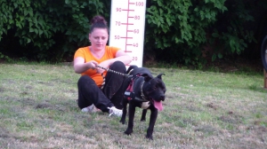 Výcvik útulkových psíkov - každú sobotu o 18:00 hod