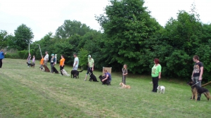 Výcvik útulkových psíkov - každú sobotu o 18:00 hod
