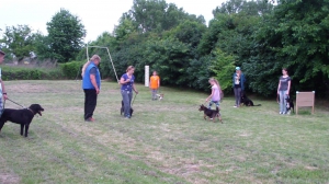 Výcvik útulkových psíkov - každú sobotu o 18:00 hod