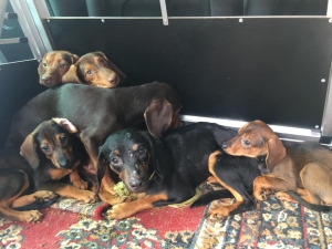 Neodsudzujme ale pomáhajme...