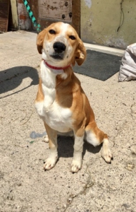 RIO