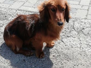 Arčí
