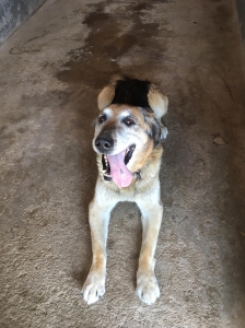 BENNY