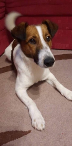 BENNY