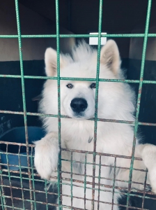 BENNY